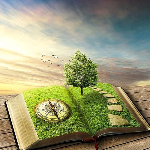 1573455641279319.jpg u=2225900665,1594332396&fm=26&gp=0.jpg